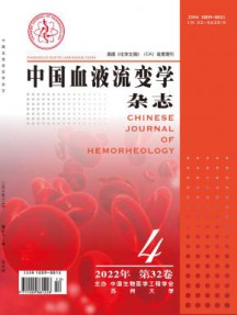 中国血液流变学杂志